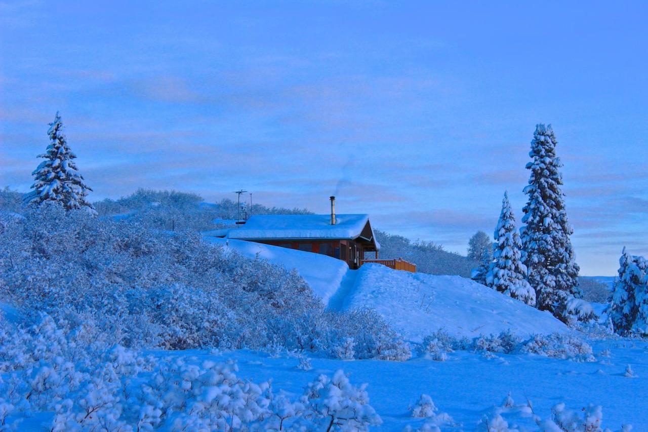 Caribou Lodge Alaska Talkeetna Exterior foto